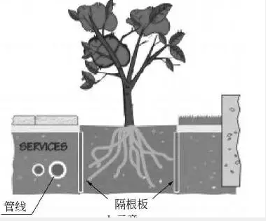 热水增压泵金属软接头：植物根系对天然气长输管道的影响